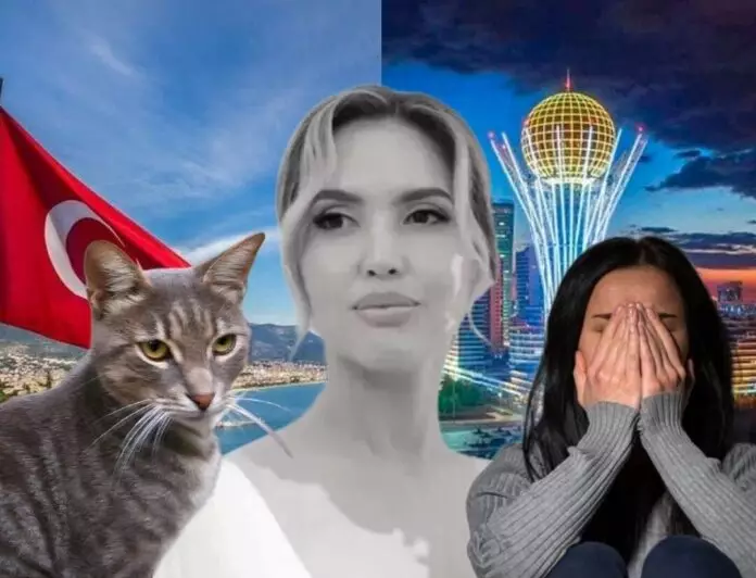 Абсурд, который мы заслужили?: Почему лучше родиться кошкой в Турции, чем женщиной в Казахстане