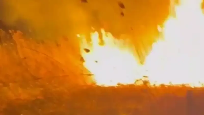Пожар разгорелся на границе Казахстана и Кыргызстана