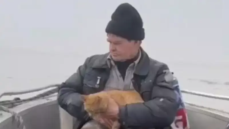 Житель Акмолинской области и его кошка были спасены с помощью лодки