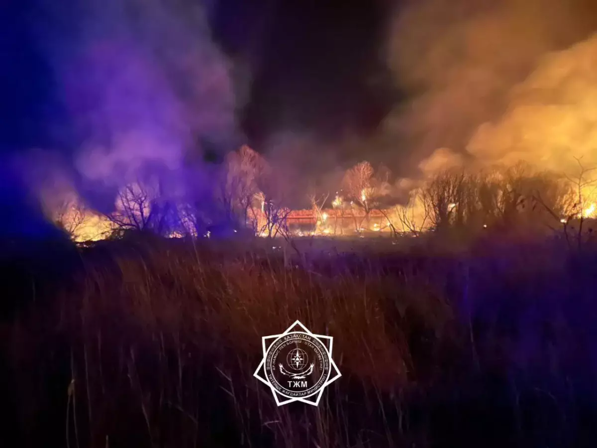 Пожар в нацпарке «Алтын-Эмель» разошелся на два гектара