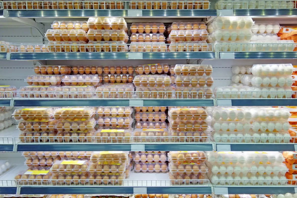 Нутрициолог рассказала, как правильно выбирать яйца