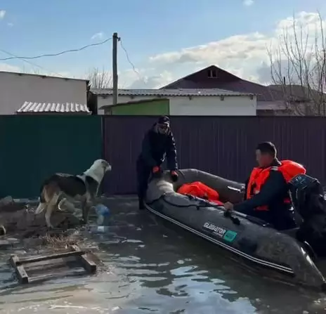 Почти 64 тыс. человек эвакуированы из-за паводков в пяти областях Казахстана