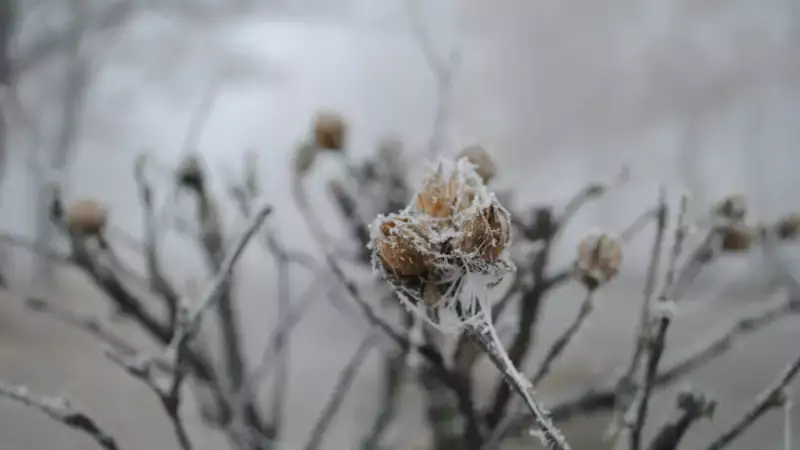 В Астане ожидается снег, в Алматы и Шымкенте – сильные дожди: прогноз от "Казгидромета"