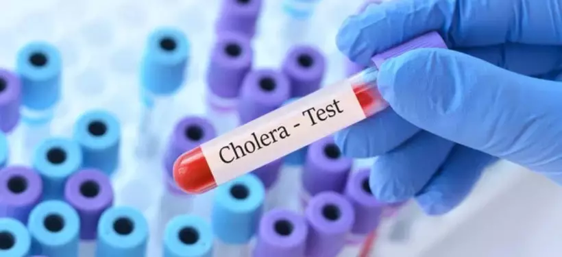 Женщина с холерой на рейсе Дели – Алматы: выявлена ли инфекция у остальных пассажиров