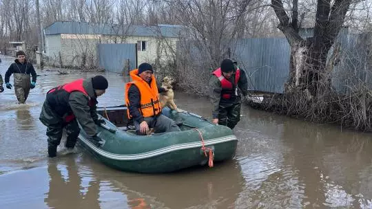 Более 200 человек эвакуировали с дач в Актюбинской области