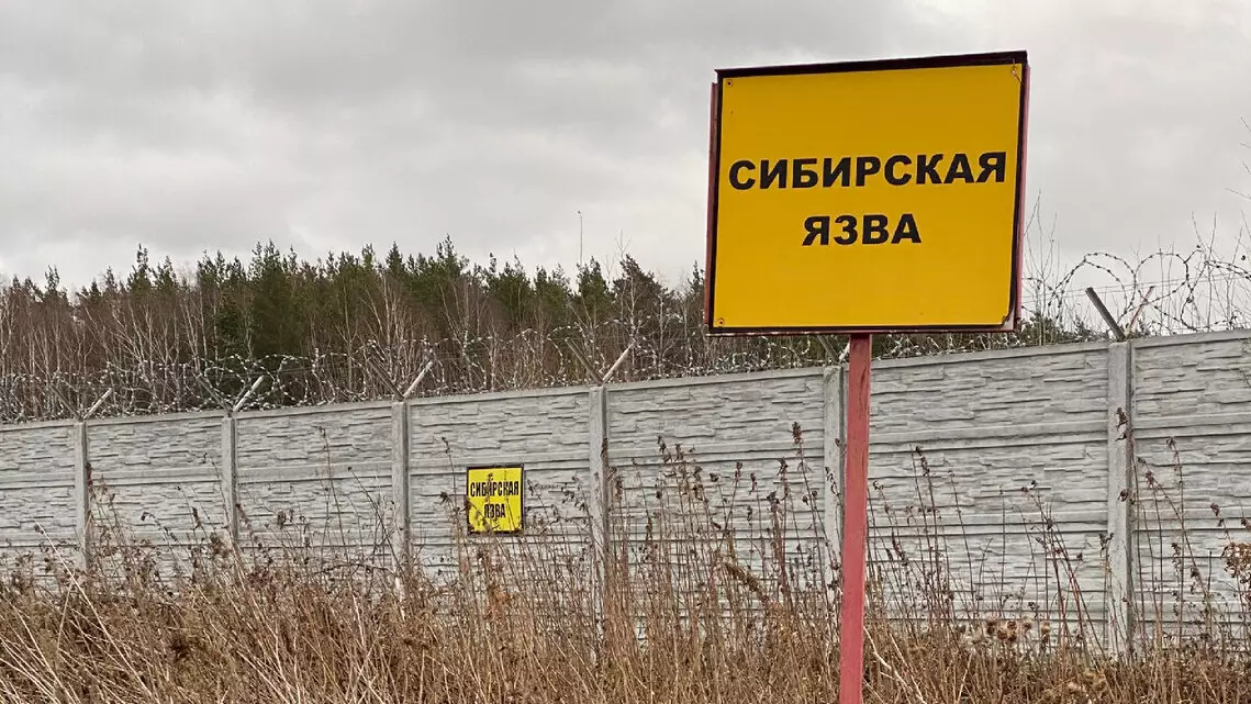 Захоронения сибирской язвы и скотомогильники затопило в Казахстане