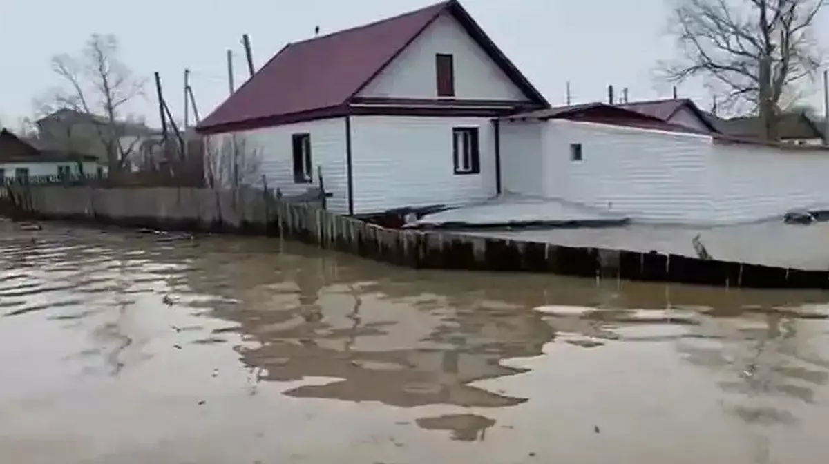 СҚО-ның Новоишимское ауылында 8 үй су астында қалды