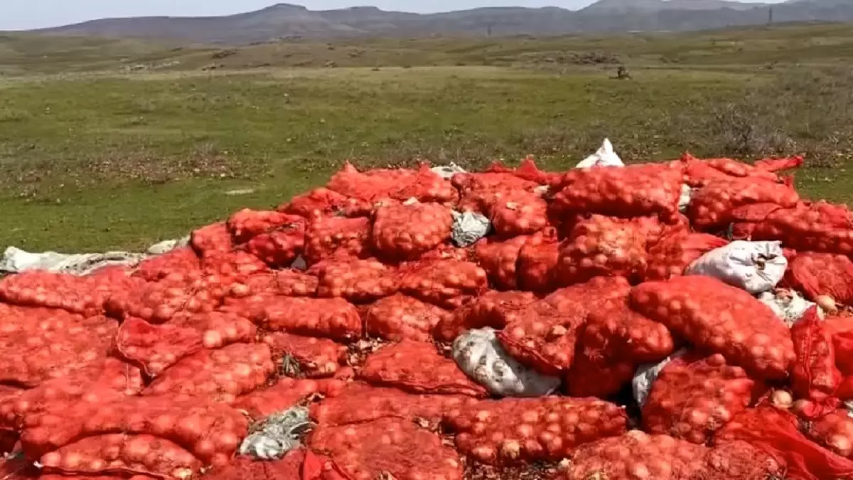 Тонны гнилого лука нашли в горах близ Тараза