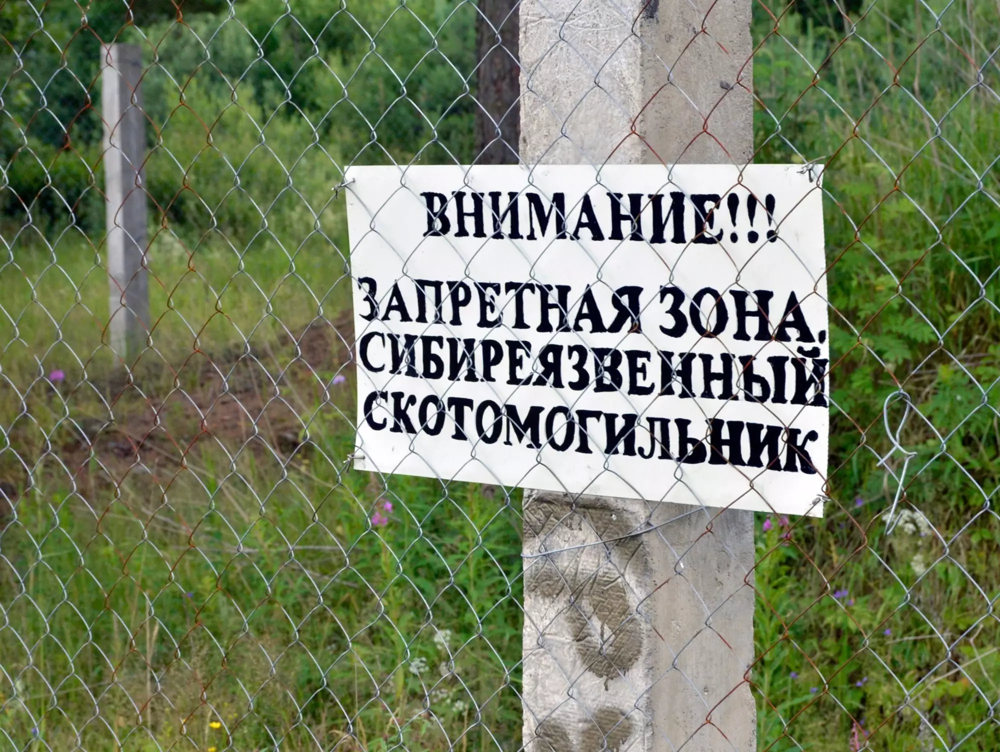 В Западно-Казахстанской области паводки вскрыли 14 могильников сибирской язвы – МСХ заявил, что опасности нет