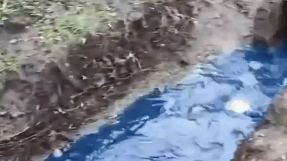 "Распяли аватара?": синяя жидкость в арыках напугала алматинцев
