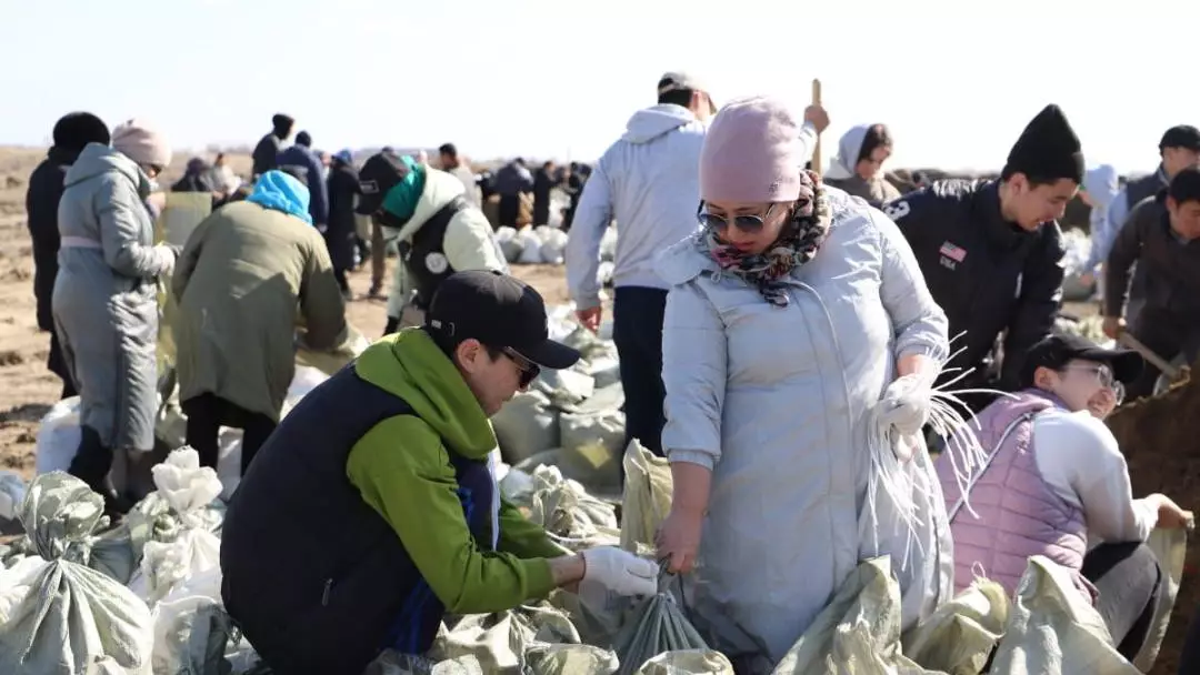 Строят плотину и набивают мешки песком: казахстанские студенты участвуют в борьбе со стихией