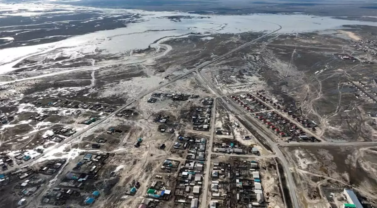 В Казахстане из-за паводков погибло более 8 тысяч голов скота