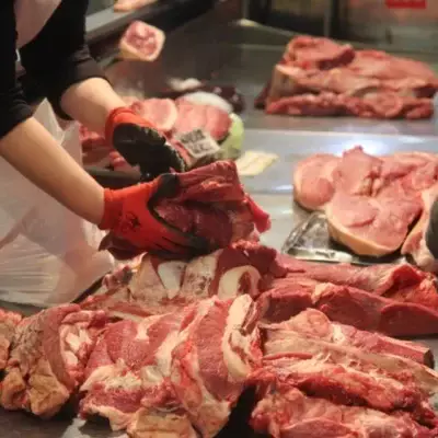 Мясо заболевших сибирской язвой животных продавали в Жамбылской области