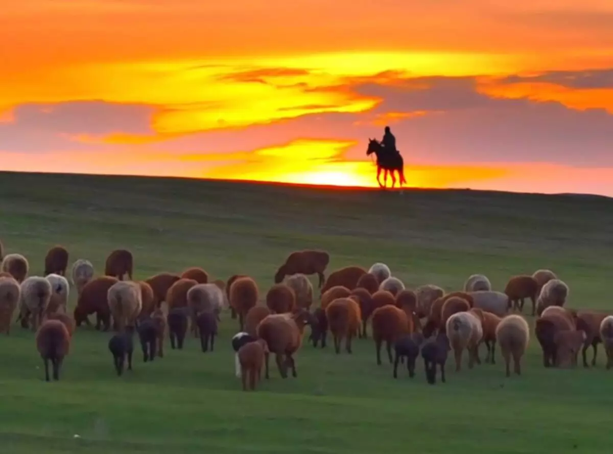 Завораживающий закат в степи восхитил казахстанцев (ВИДЕО)