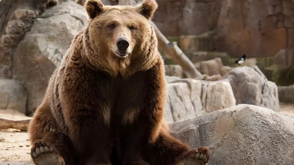 В Уральске эвакуируют зоопарк из-за подтопления