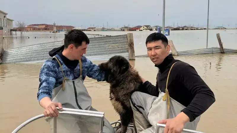 Паводки в Казахстане: полицейские спасают людей и животных