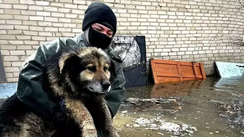 Алматинские спасатели поделились кадрами спасения людей и животных в СКО
