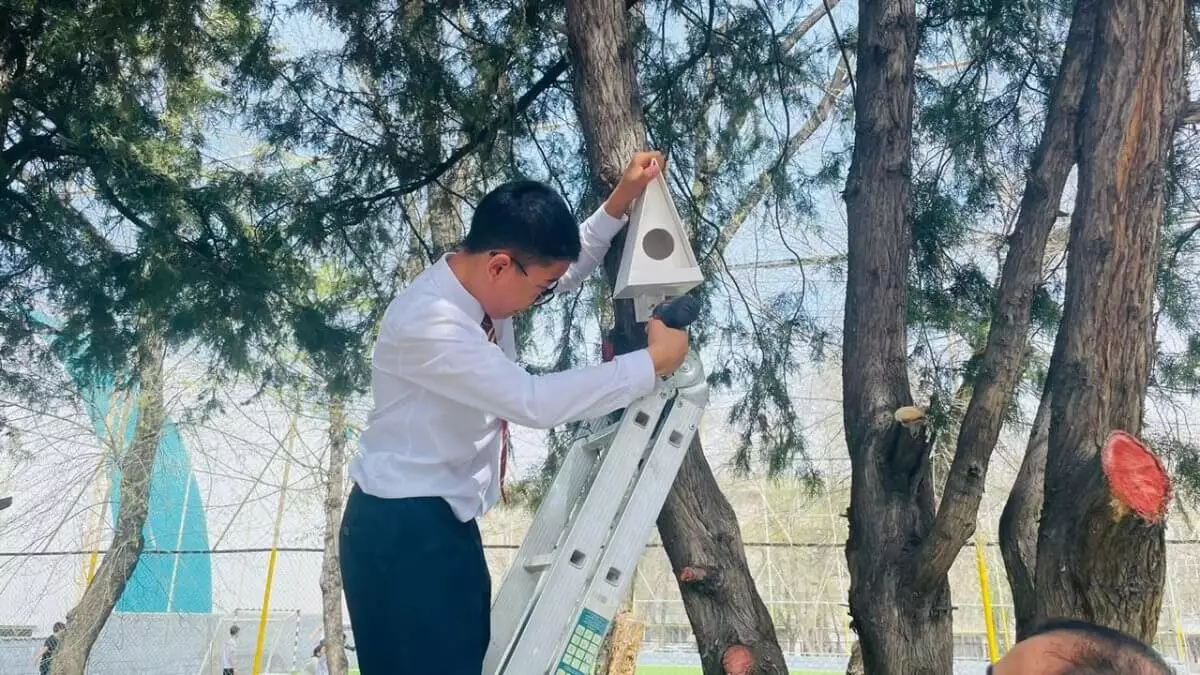 Дети Алматы установили более тысячи скворечников во дворах школ