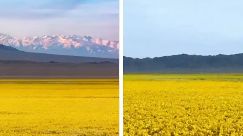 Алматинского фотографа призвали не делиться локациями красивых мест Казахстана