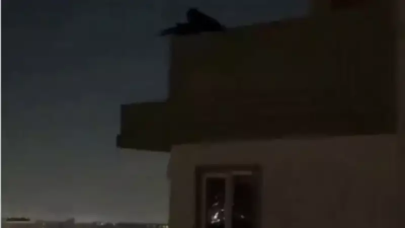Американец забрался на крышу здания и утроил стрельбу в прямом эфире
