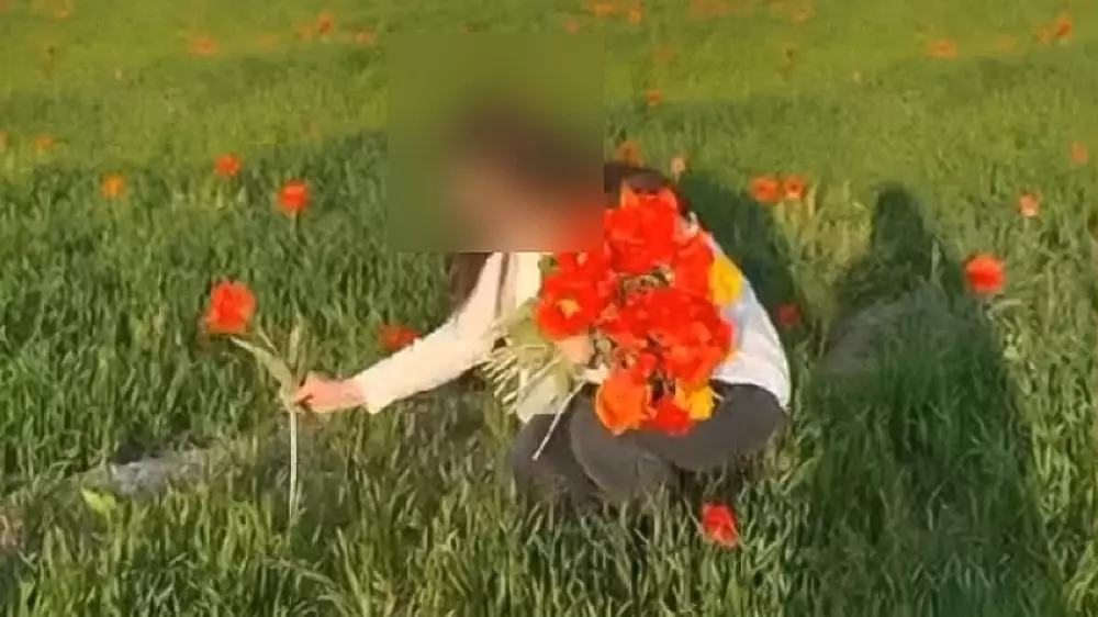 Казахстанке грозит штраф в миллионы тенге за сорванный цветок