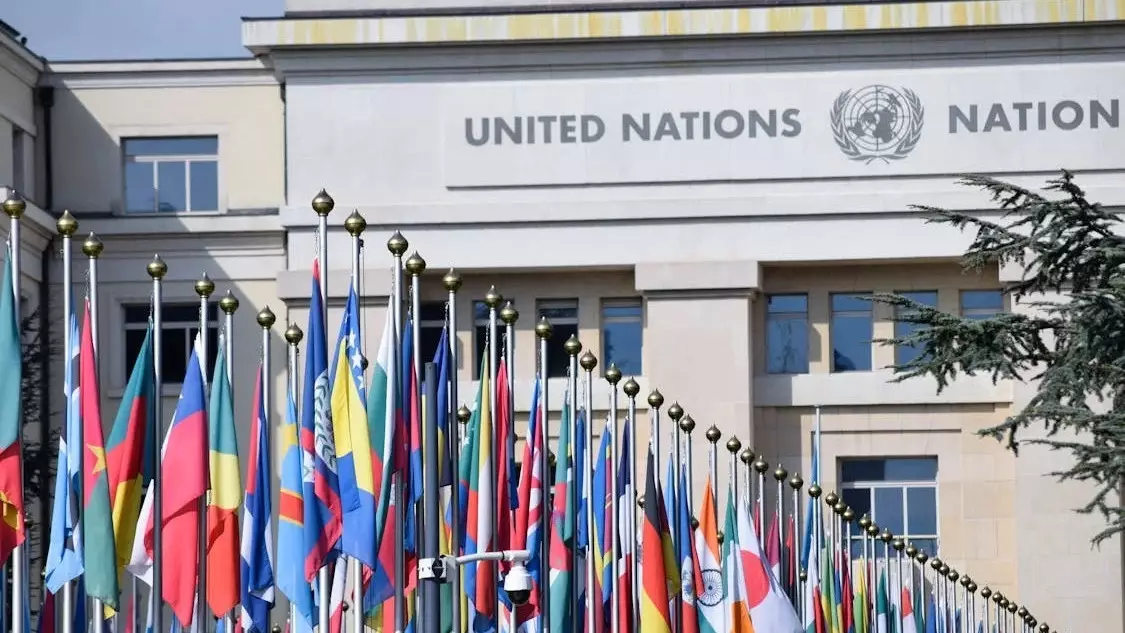 "Это шаг вперед" — ООН о принятии в РК закона о бытовом насилии