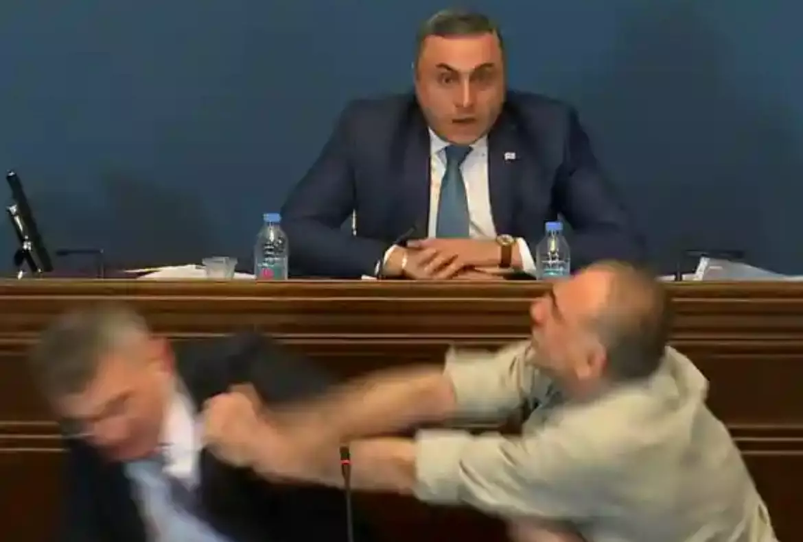 В парламенте Грузии подрались из-за закона об «иноагентах». В стране проходят митинги