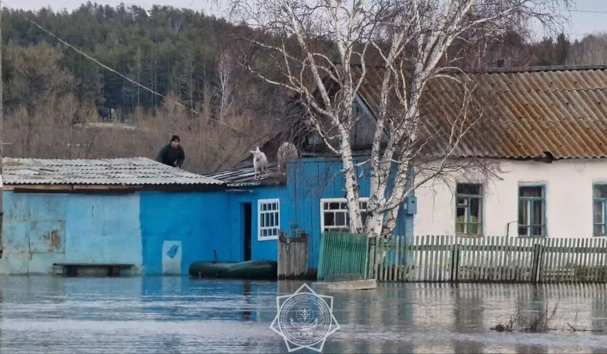 Паводки в Казахстане: что происходит в регионах страны