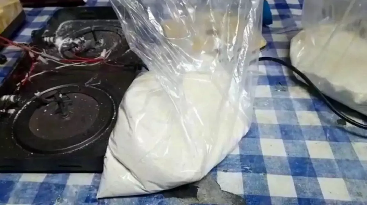 У жительницы Алматы изъяли более 40 кг наркотиков