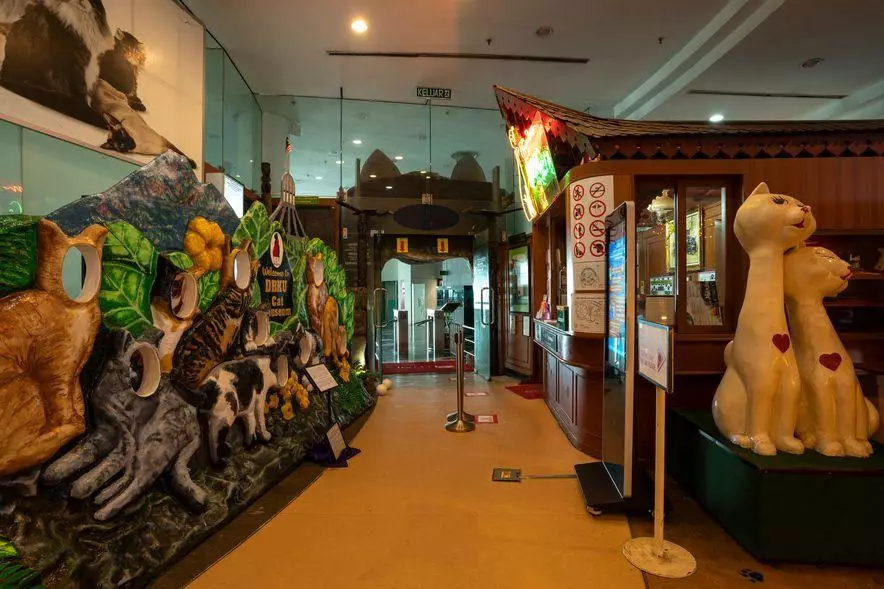 Мяузей: Уникальный музей кошек в Малайзии