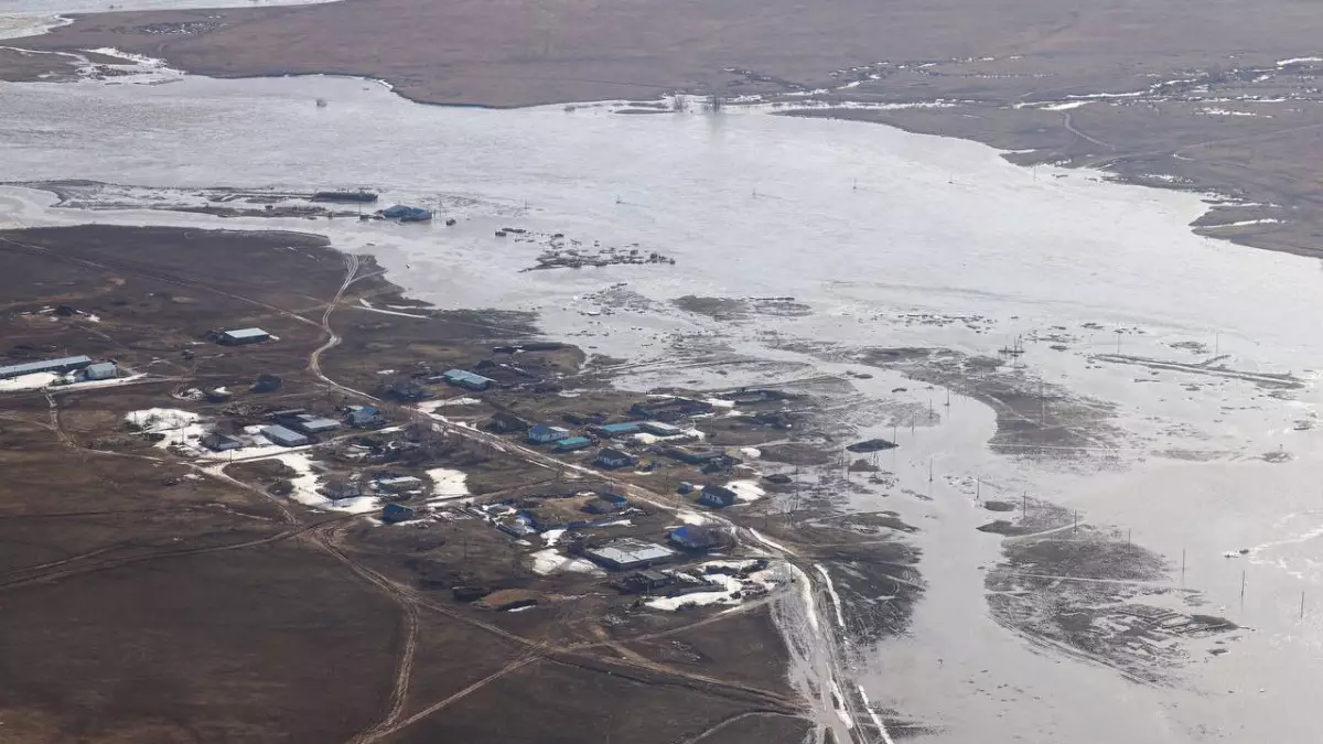 Компенсация за павший скот во время наводнений: куда казахстанцам подавать заявление