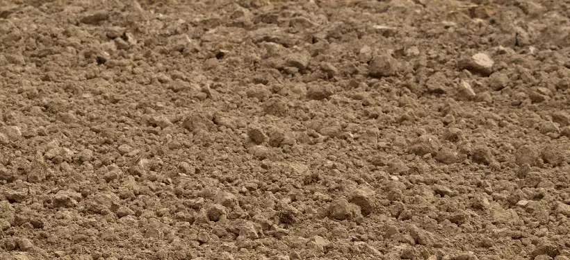 В каких регионах Казахстана до сих пор сохраняется промерзание почвы