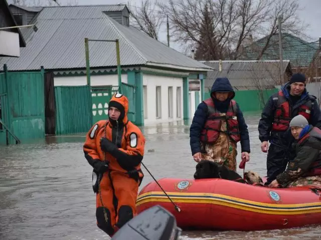 Какую помощь окажет государство пострадавшим от паводков?