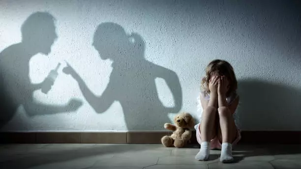 Новый закон и криминализация семейно-бытового насилия, зачем это нужно Казахстану?