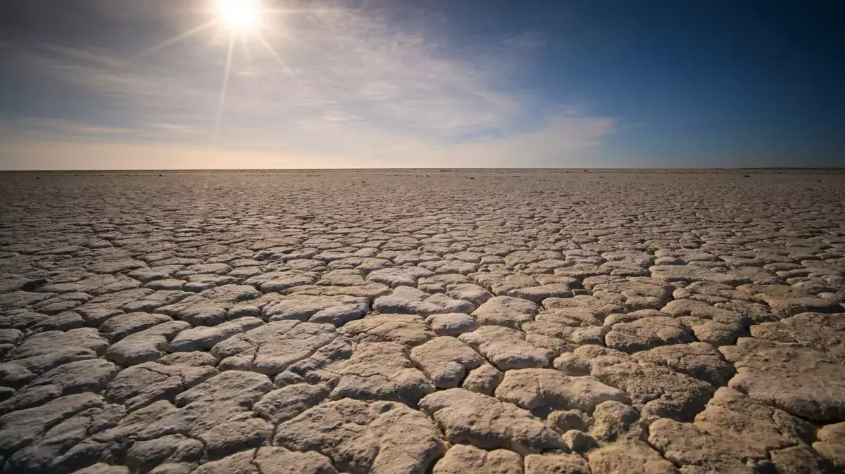 Засуху после паводков и неурожай в Казахстане прогнозируют эксперты