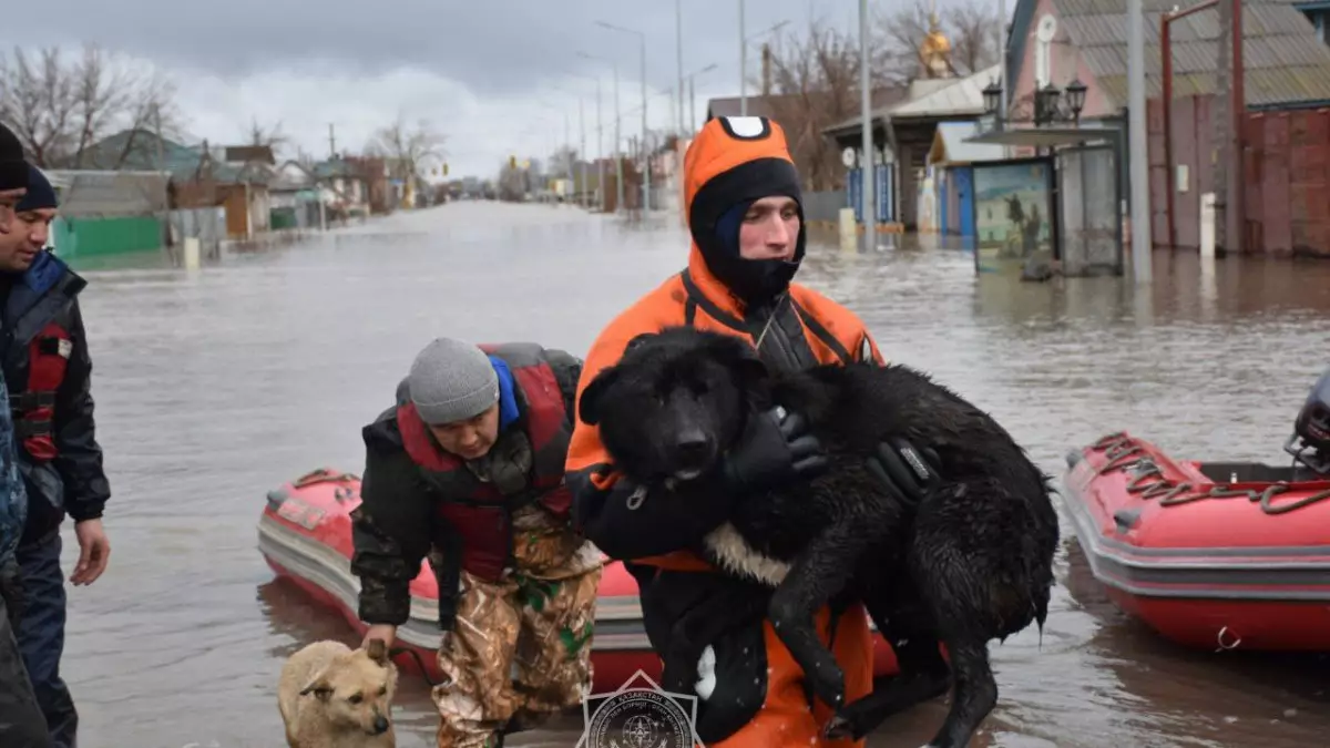 Паводки в Казахстане: спасено свыше 116 тысяч человек