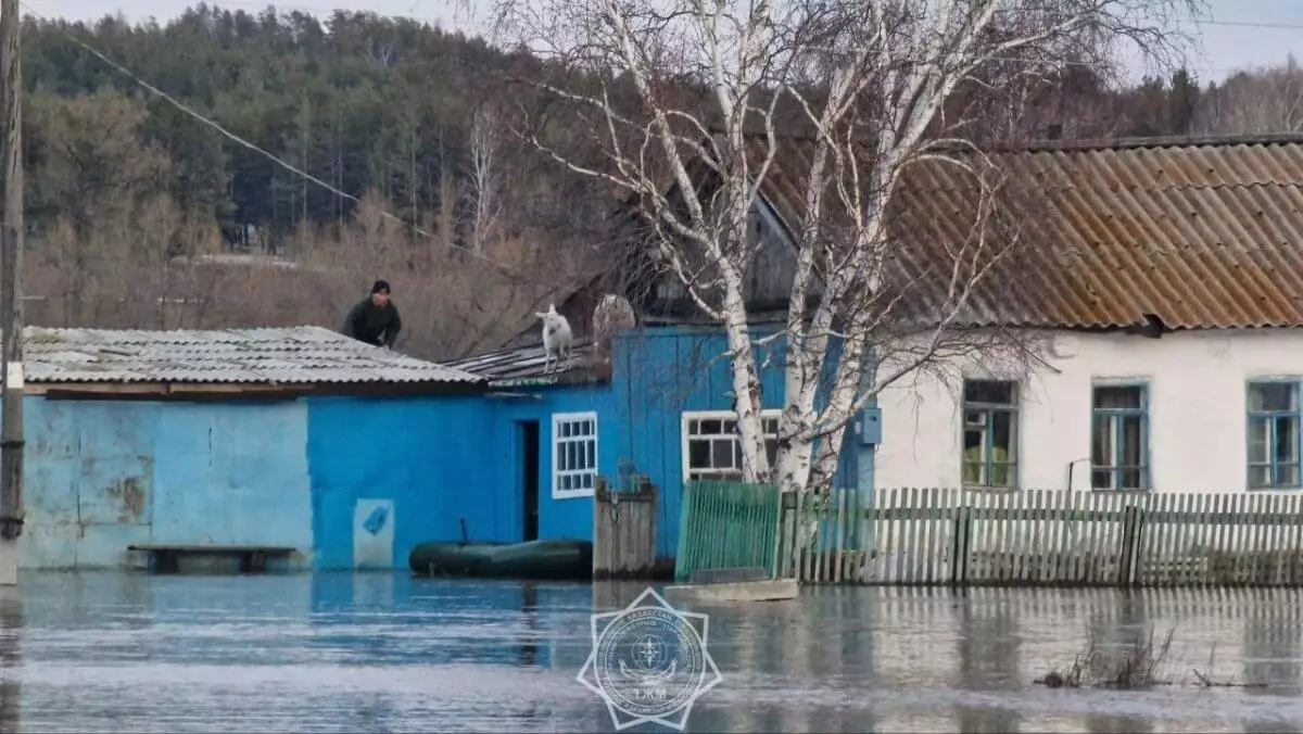 Паводки в Казахстане: число эвакуированных превысило 117 тысяч