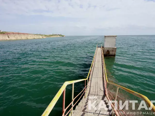 Воду с реки Жайык направят в Урало-Кушумскую систему лиманного орошения