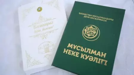 "Это незаконно": депутат высказался о неке в Казахстане