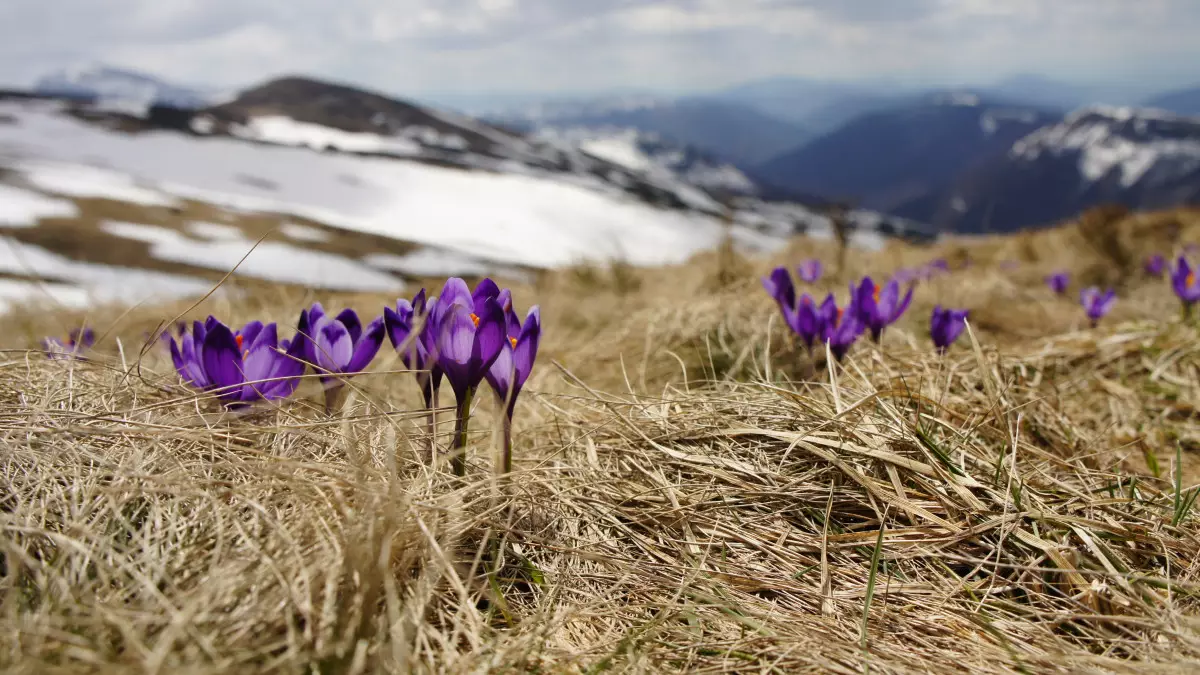 Жару и снег прогнозируют синоптики в Казахстане