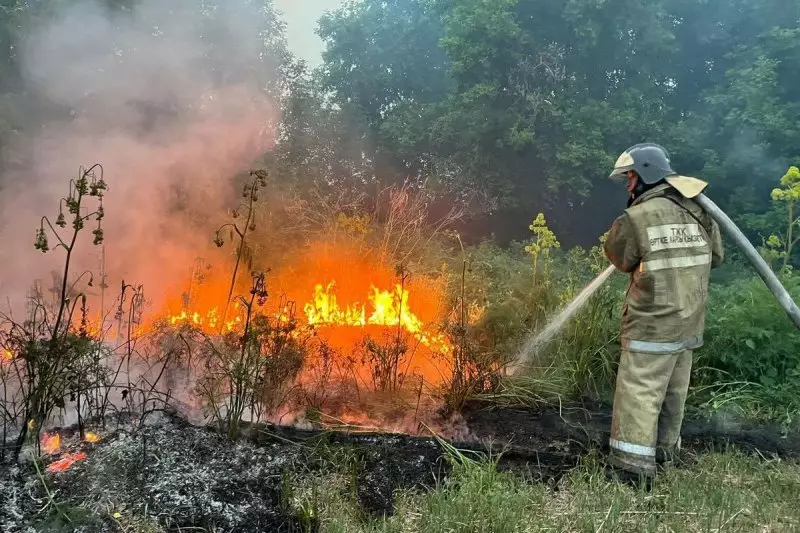 Какие регионы Казахстана не готовы к природным пожарам