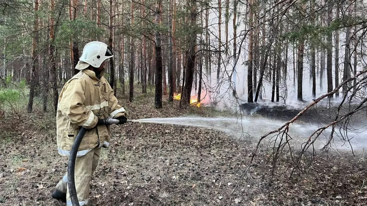 Риски предстоящего пожароопасного сезона назвали в МЧС РК