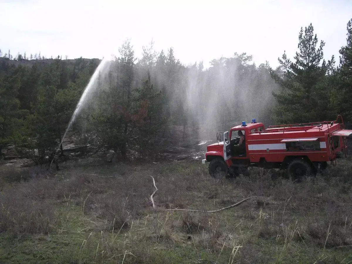 Резерват «Семей орманы» и ряд областей не готовы к возможным лесным пожарам