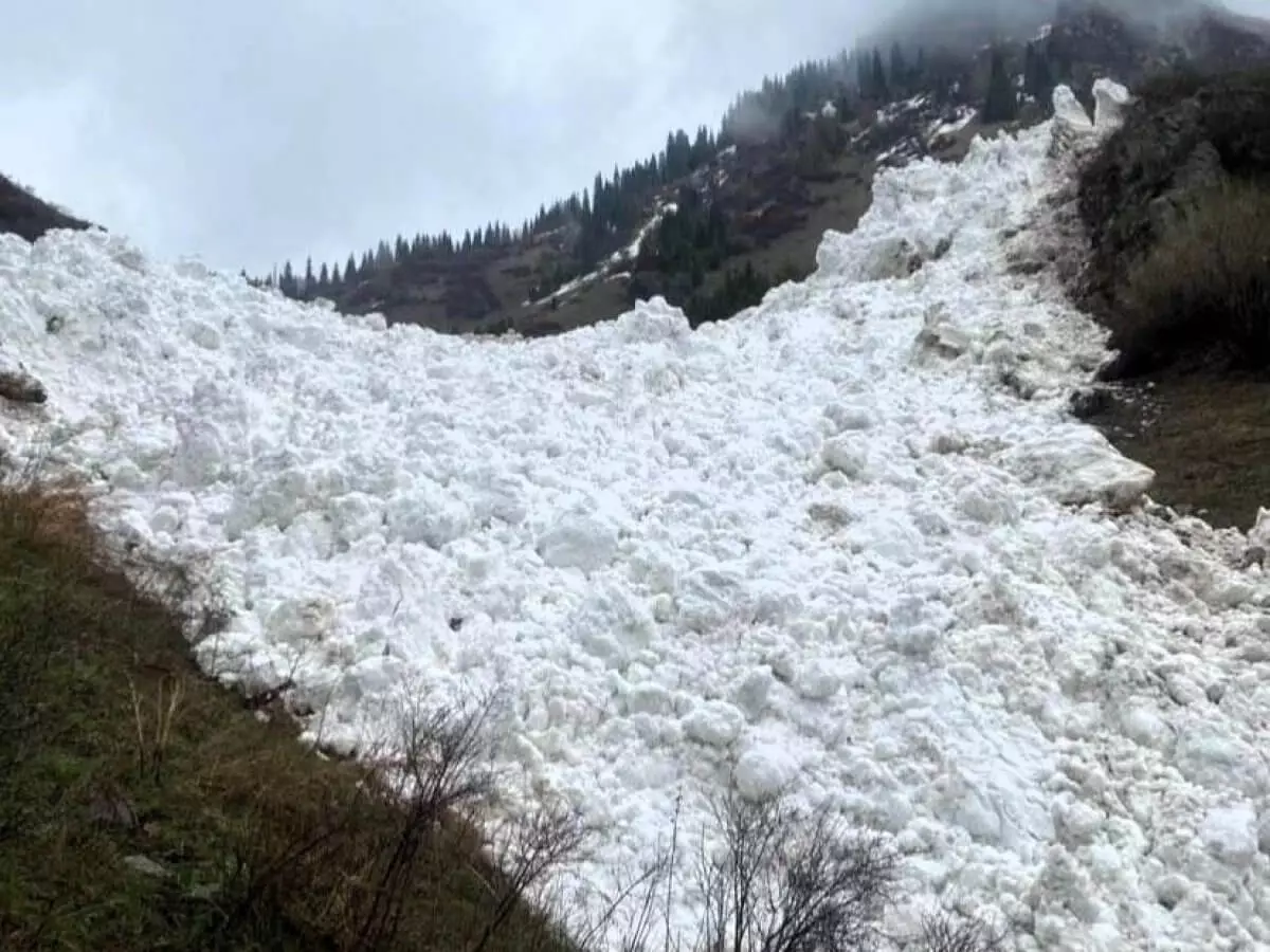 10 лавин сошли в горах Алматы