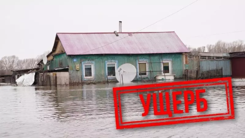 Паводки в Казахстане: заявку на возмещение ущерба можно подать в приложении eGov