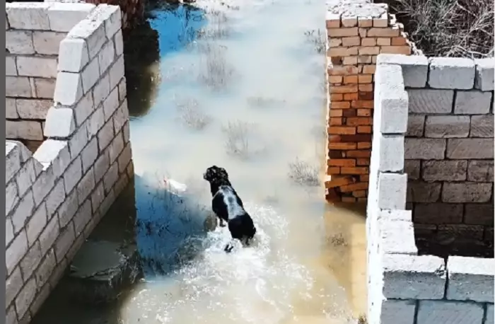 Затопленное кладбище в Кульсары снял на видео блогер из Актау