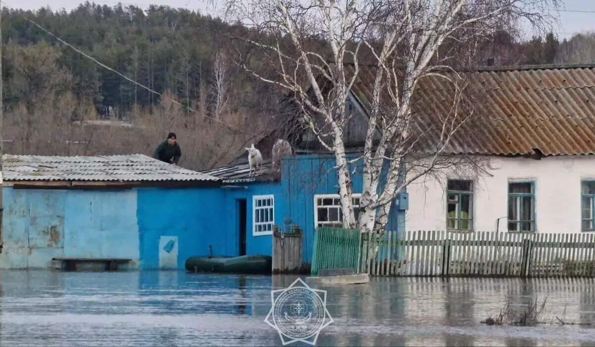 701 дом полностью разрушен из-за половодья в Казахстане