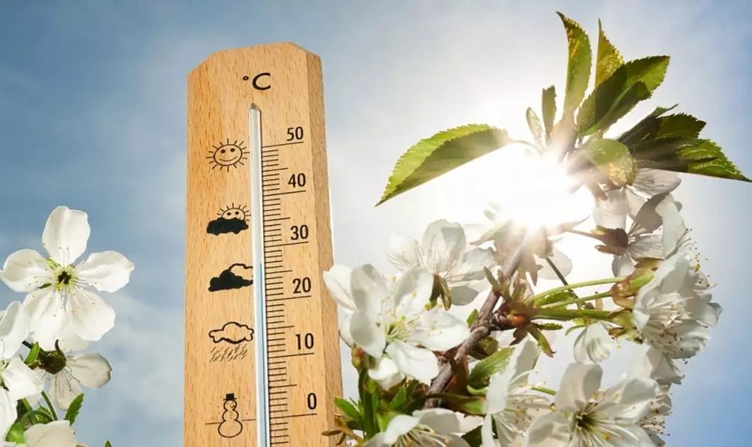 От +40 до -5: жару и заморозки обещают синоптики в мае
