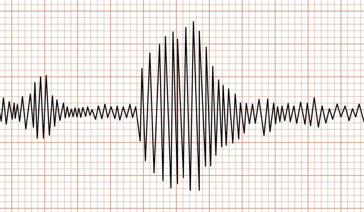 Магнитуда 5,4: землетрясение зарегистрировали сейсмологи Алматы