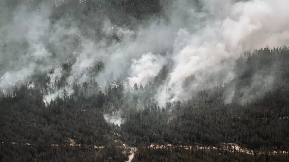 Пожары в области Абай: повторится ли ситуация в этом году